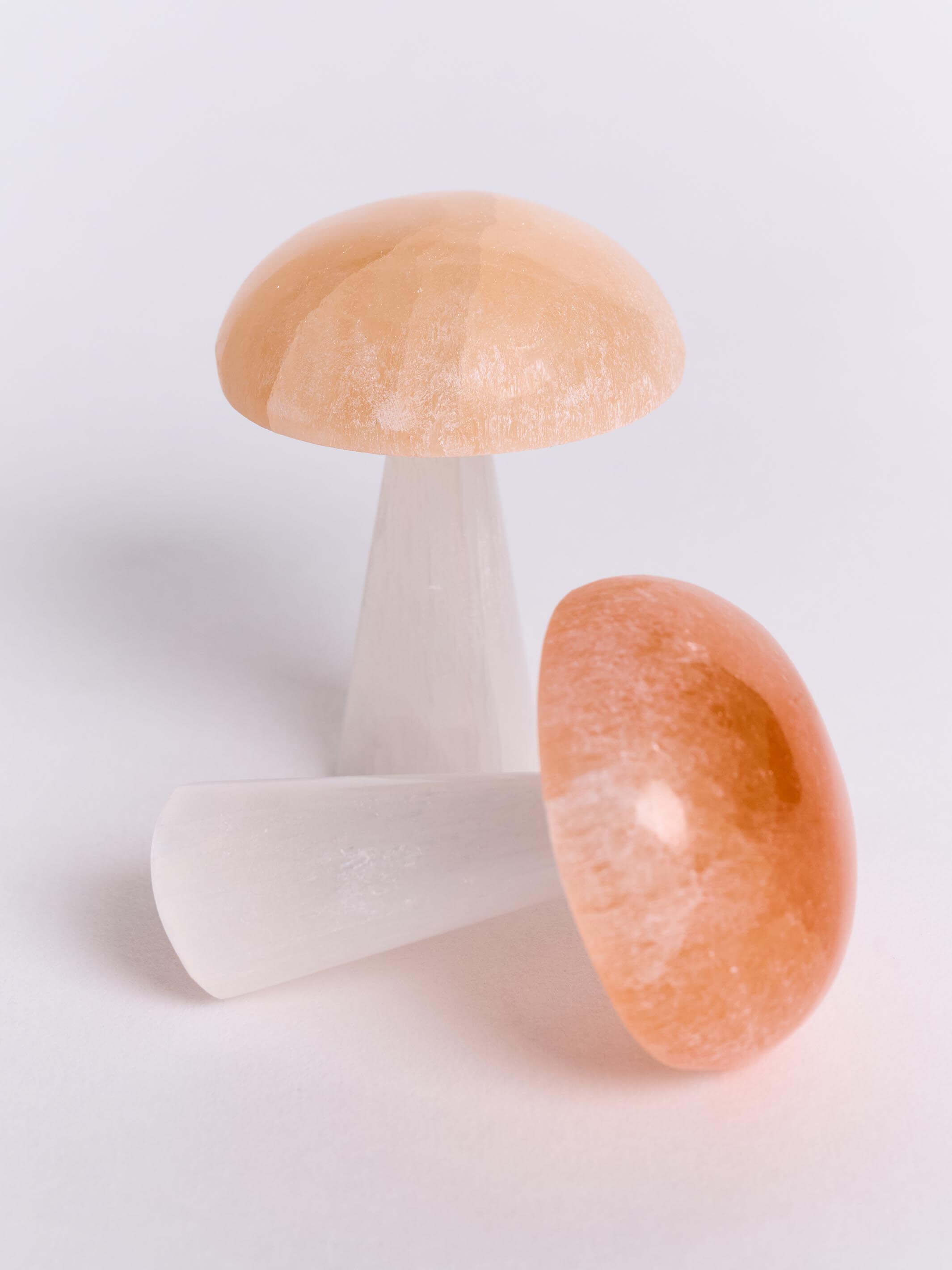 SELENITE MUSHROOM